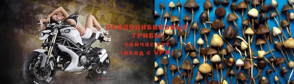 мет Армянск