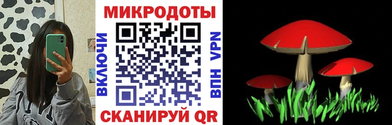 Псилоцибиновые грибы GOLDEN TEACHER  Полевской 